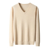 Men's Winter V Neck Sweater