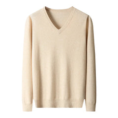 Men's Winter V Neck Sweater